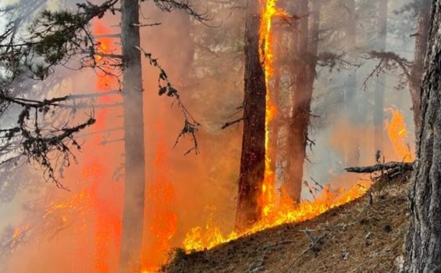 Пожар е избухнал над село Осеново Огънят е в смесена гора където